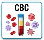 amylase