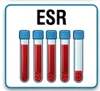 amylase