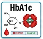 amylase