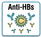 amylase
