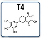 amylase