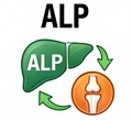 alp