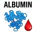 albumin